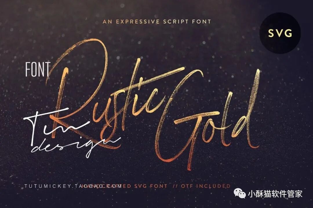 【01】32款高端手写英文字体！绝对可以冲击甲方视觉！插图8小新卖蜡笔