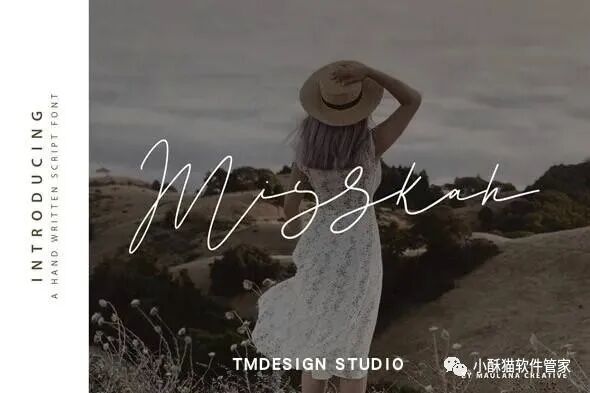 【01】32款高端手写英文字体！绝对可以冲击甲方视觉！插图22小新卖蜡笔