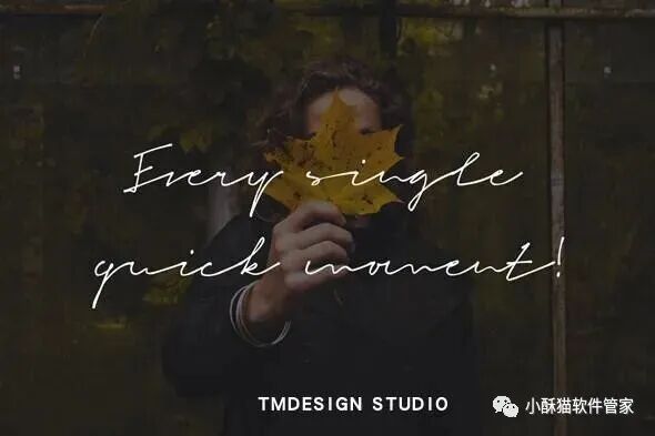 【01】32款高端手写英文字体！绝对可以冲击甲方视觉！插图20小新卖蜡笔