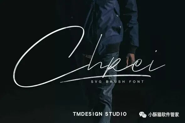 【01】32款高端手写英文字体！绝对可以冲击甲方视觉！插图18小新卖蜡笔