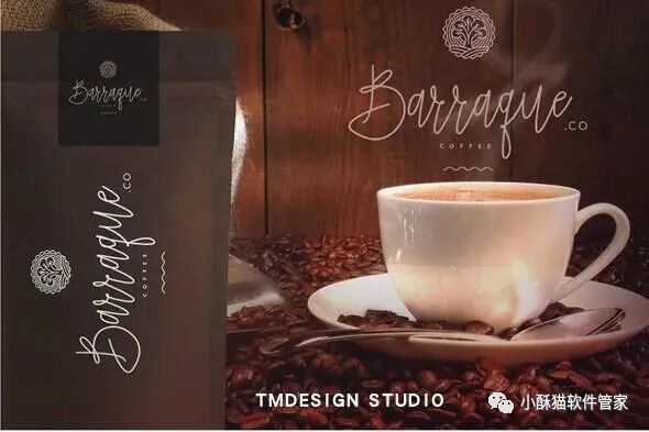 【01】32款高端手写英文字体！绝对可以冲击甲方视觉！插图19小新卖蜡笔