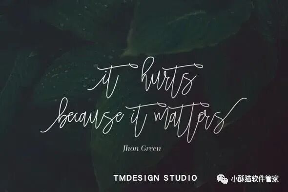 【01】32款高端手写英文字体！绝对可以冲击甲方视觉！插图27小新卖蜡笔