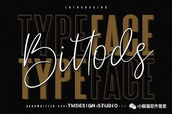 【01】32款高端手写英文字体！绝对可以冲击甲方视觉！插图16小新卖蜡笔