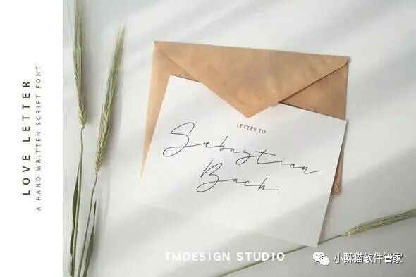【01】32款高端手写英文字体！绝对可以冲击甲方视觉！插图21小新卖蜡笔