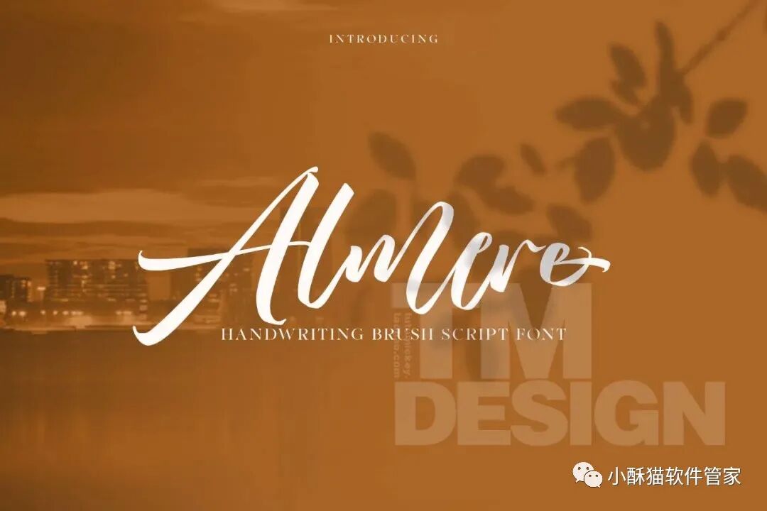 【01】32款高端手写英文字体！绝对可以冲击甲方视觉！插图29小新卖蜡笔