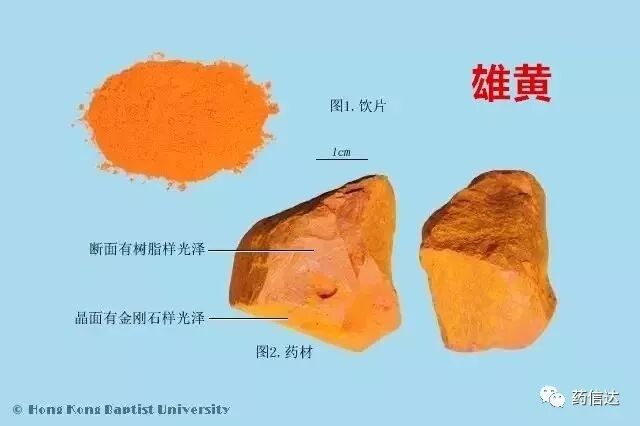 中药材鉴别图谱下