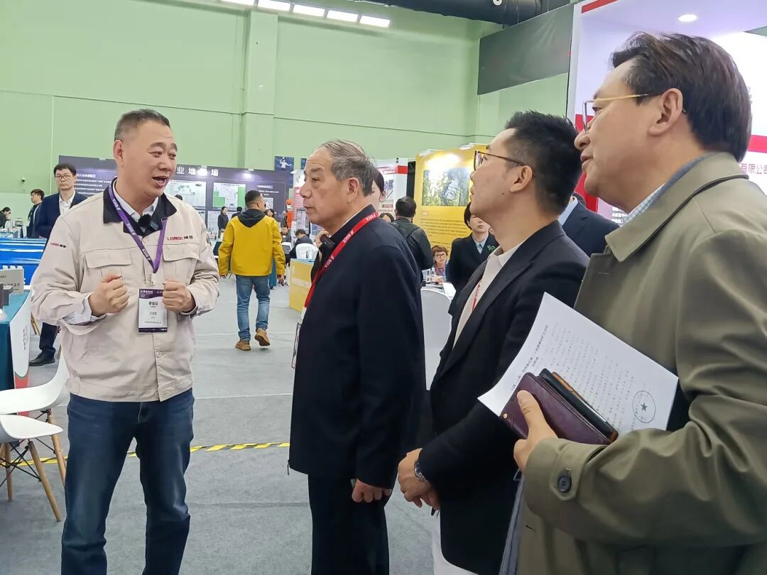 Lead-Zinc Ore Processing