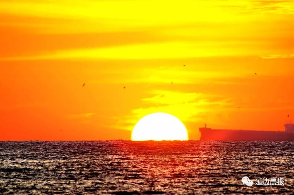 长春返乡创业项目_农村返乡创业项目_返乡创业好项目