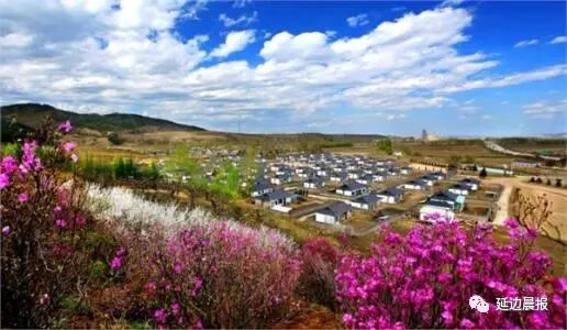 返乡创业好项目_农村返乡创业项目_长春返乡创业项目