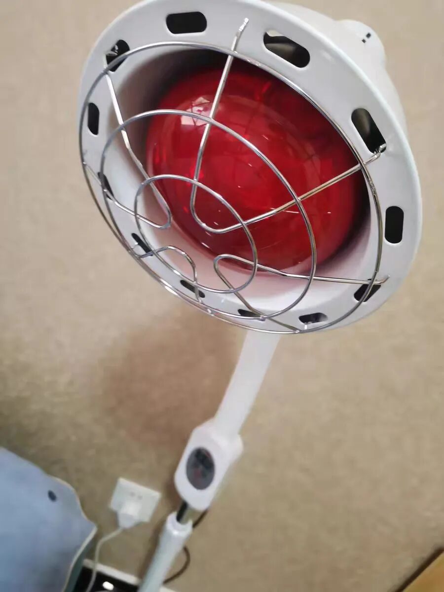 术后护理垫怎么铺【健康周到】肛周脓肿术后，该如何护理？(视频)_https://www.jmylbn.com_新闻资讯_第3张