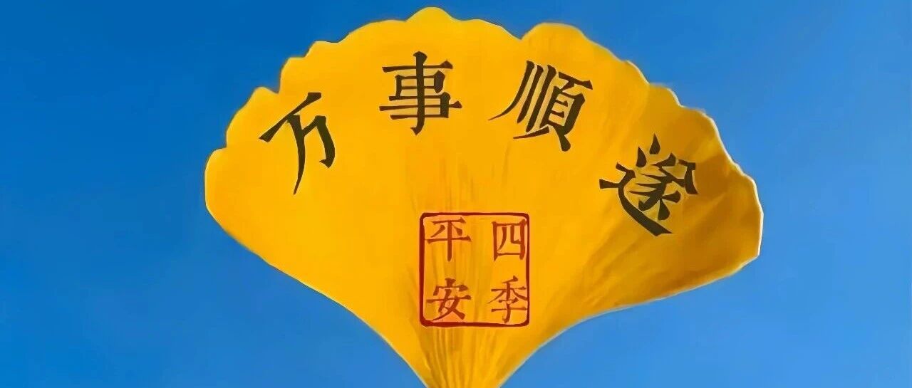 壁纸｜折叠屏高清全屏壁纸折叠屏壁纸 1500 张