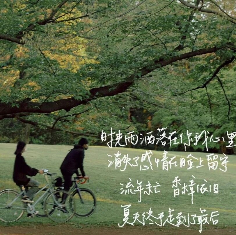 𝐒𝐡𝐚𝐫𝐞｜ipad壁纸45张