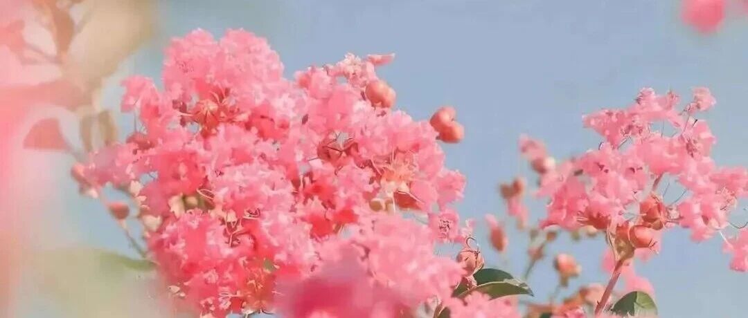 ios26裸眼3D空间壁纸推荐 390 张