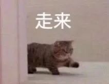 头像/表情包