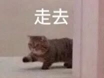 头像/表情包