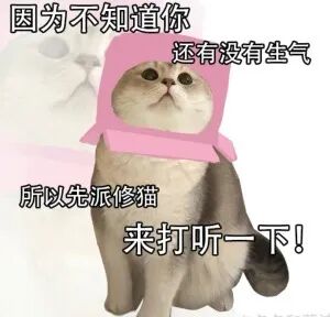 头像/表情包