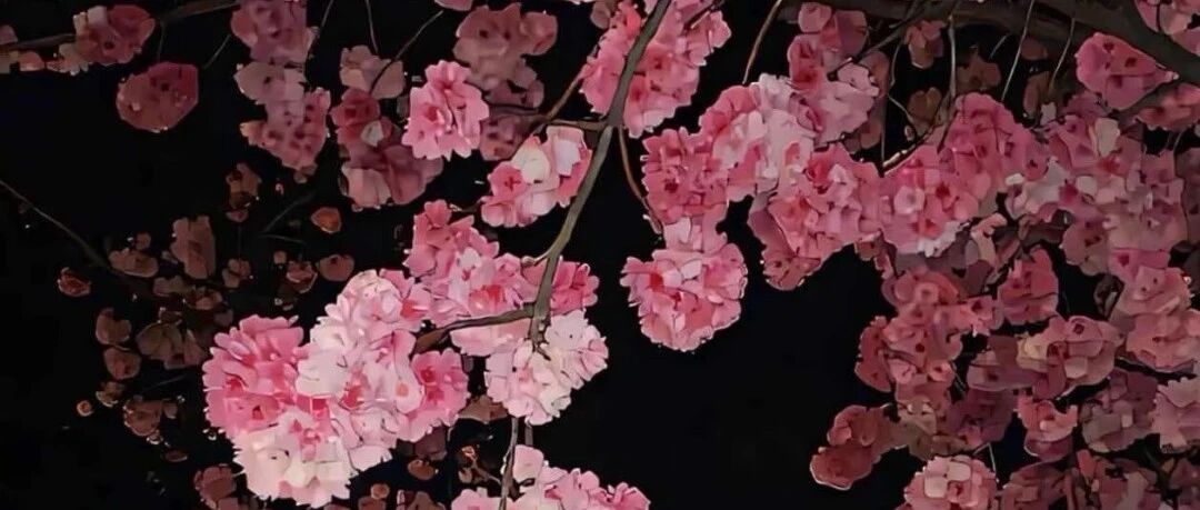 ios26 3D裸眼壁纸 空间壁纸 景深壁纸