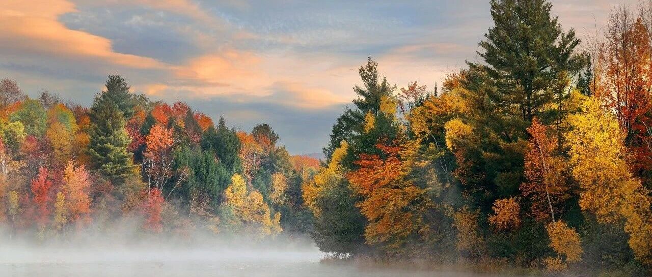 电脑/平板｜近期帮大家找的高清电脑壁纸 300 张