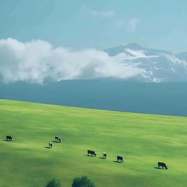 电脑壁纸风景壁纸