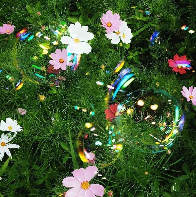 wallpaper | iOS 壁纸（8K超清 ）