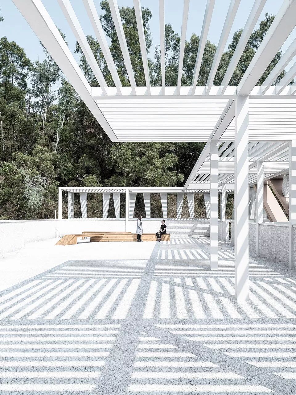 淘宝体 甄嬛体_羊羔体 乌青体 梨花体_梯形体