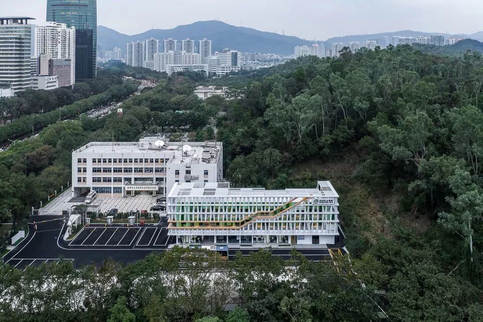 淘宝体 甄嬛体_梯形体_羊羔体 乌青体 梨花体