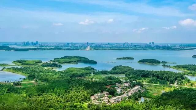 池州市创建全国文明城市问卷调查知识问答