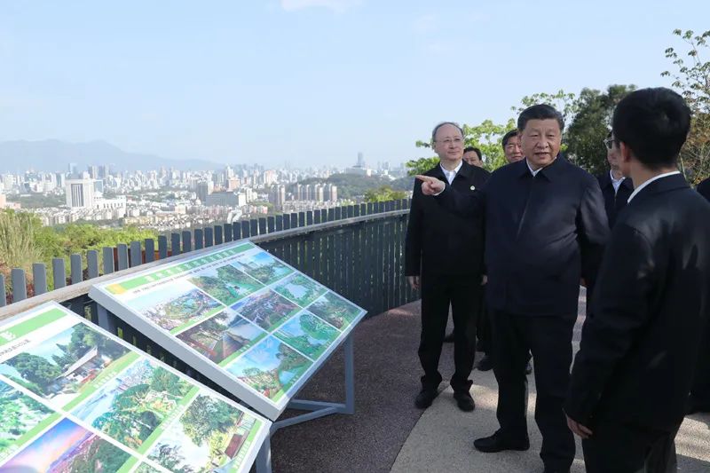 学习贯彻习近平总书记在福建考察调研时的重要讲话精神(图26)