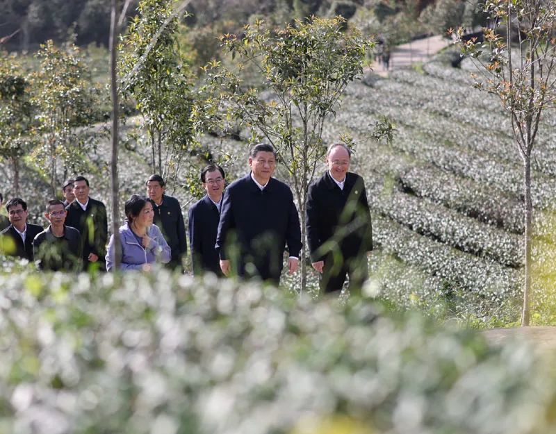 学习贯彻习近平总书记在福建考察调研时的重要讲话精神(图42)