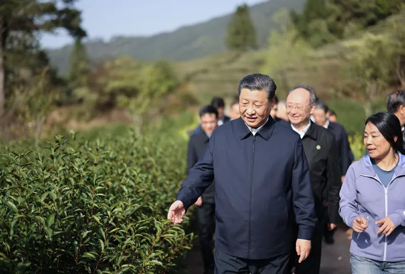 学习贯彻习近平总书记在福建考察调研时的重要讲话精神(图7)