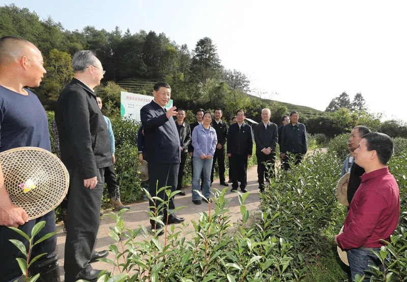 学习贯彻习近平总书记在福建考察调研时的重要讲话精神(图8)