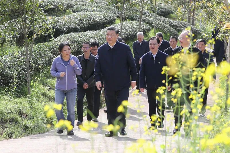 学习贯彻习近平总书记在福建考察调研时的重要讲话精神(图6)