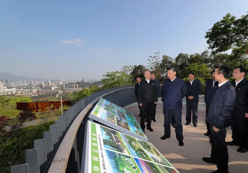 学习贯彻习近平总书记在福建考察调研时的重要讲话精神(图44)