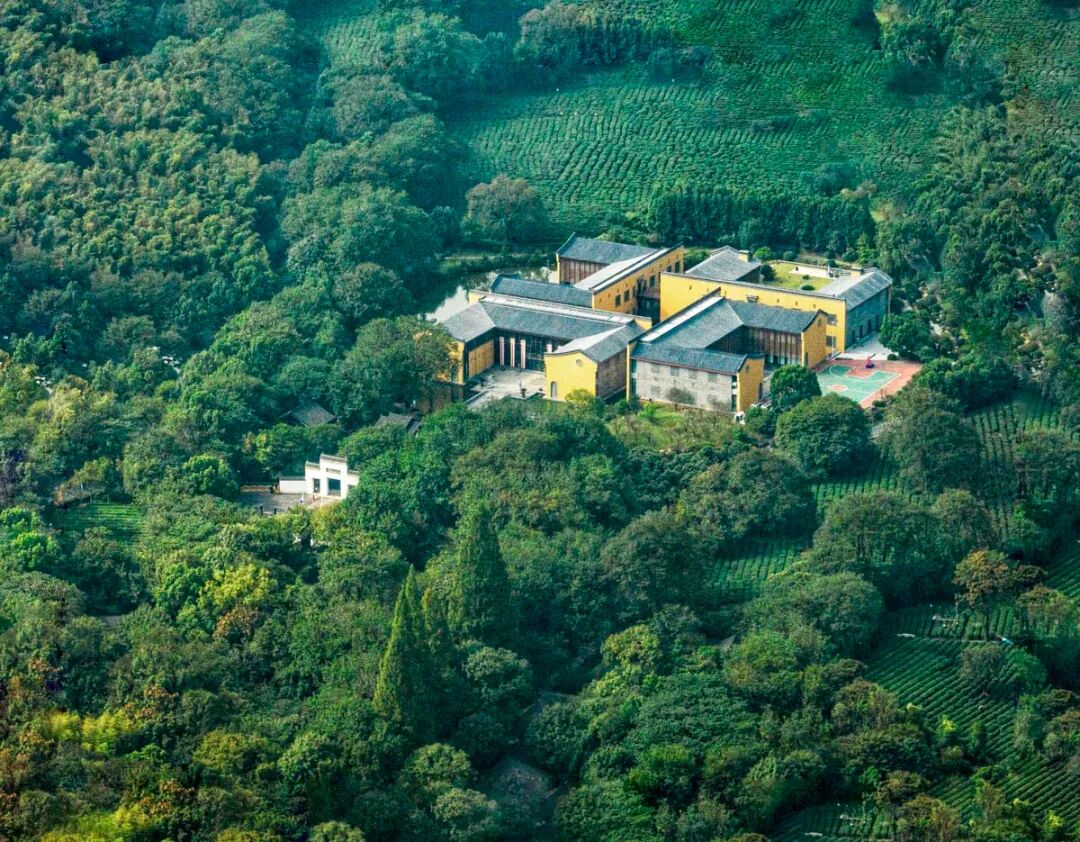 杭州佛学院教理院、外语院、艺术院美术专业2023年招生简章