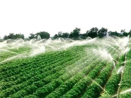 地理观察关于以色列和节水农业你不知道的地理知识