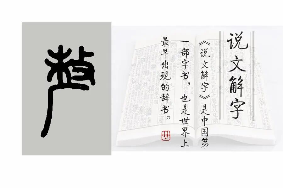 刖怎么读音_刖怎么读_刖的读音