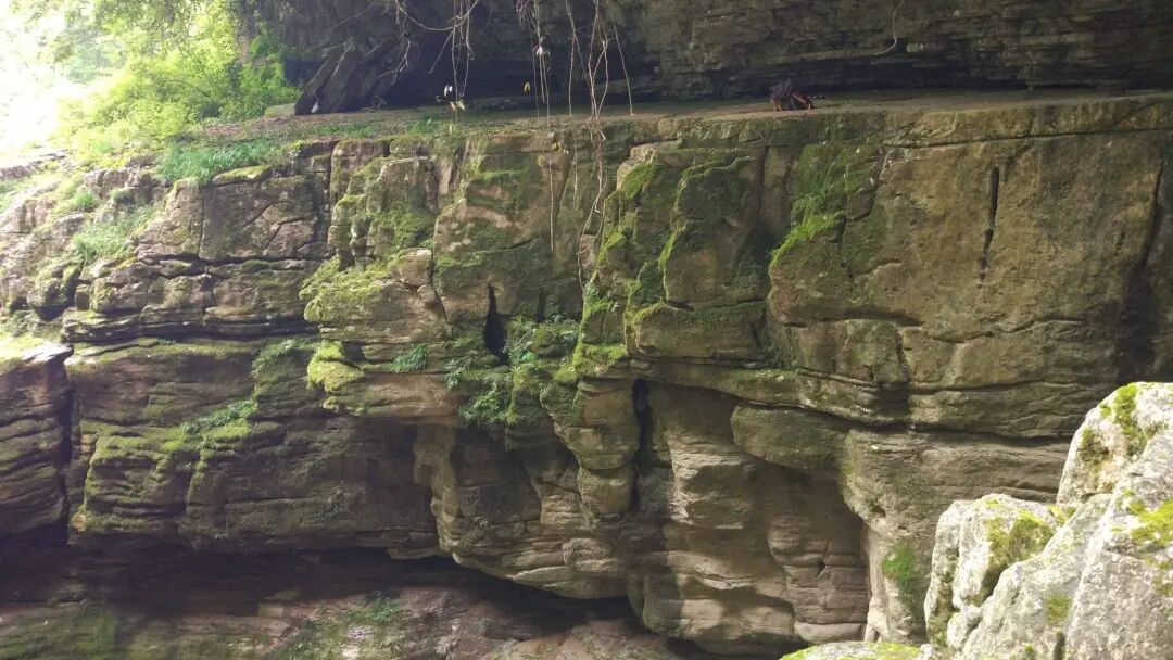 刖的读音_刖怎么读音_刖怎么读