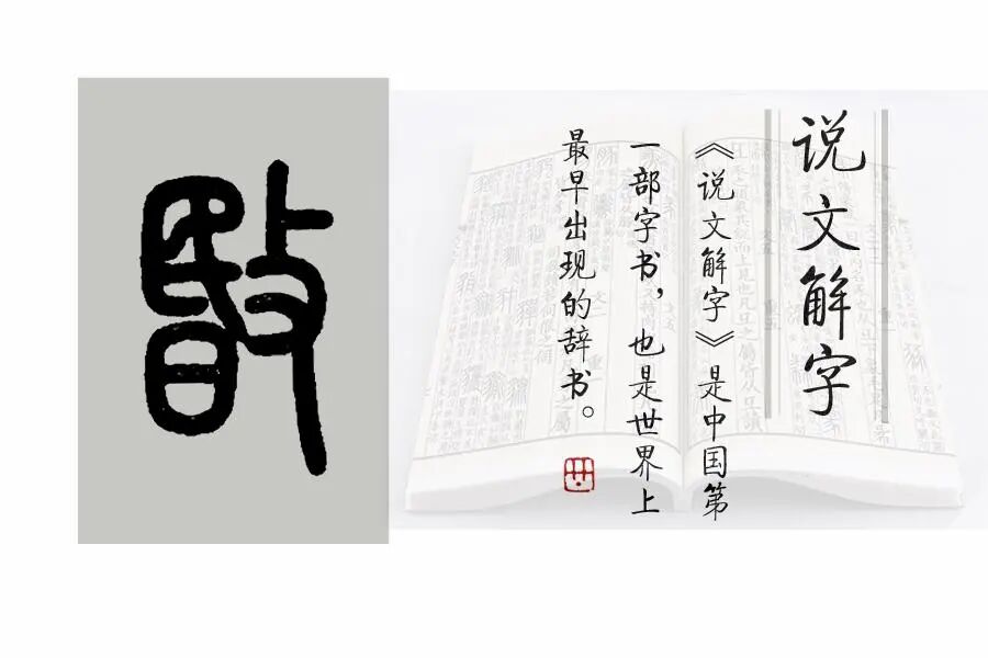 刖怎么读音_刖的读音_刖怎么读