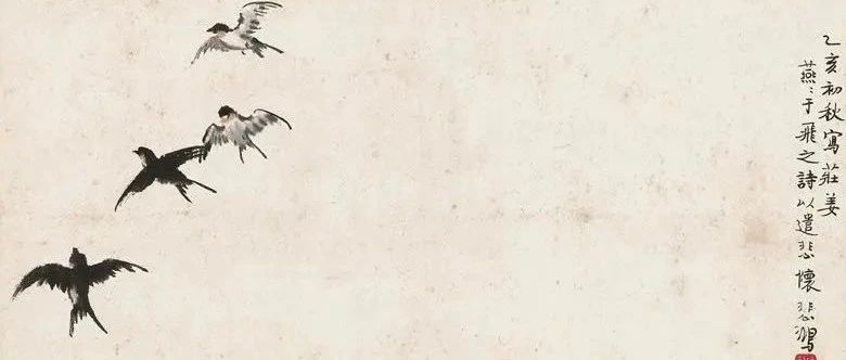 cover_image