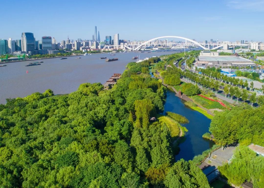 上海龙阳路地块_上海龙阳路商圈建设_上海龙阳路一带 规划