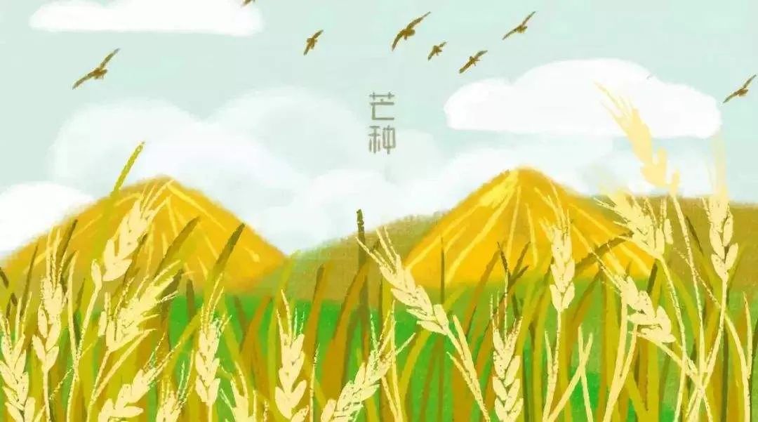 骨密度儀品牌