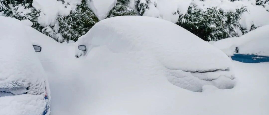 车被“冻”了！来看网友“破冰”神操作