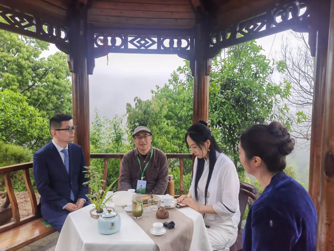 安徽·太湖第三届大别山天华谷尖茶文化旅游周开幕