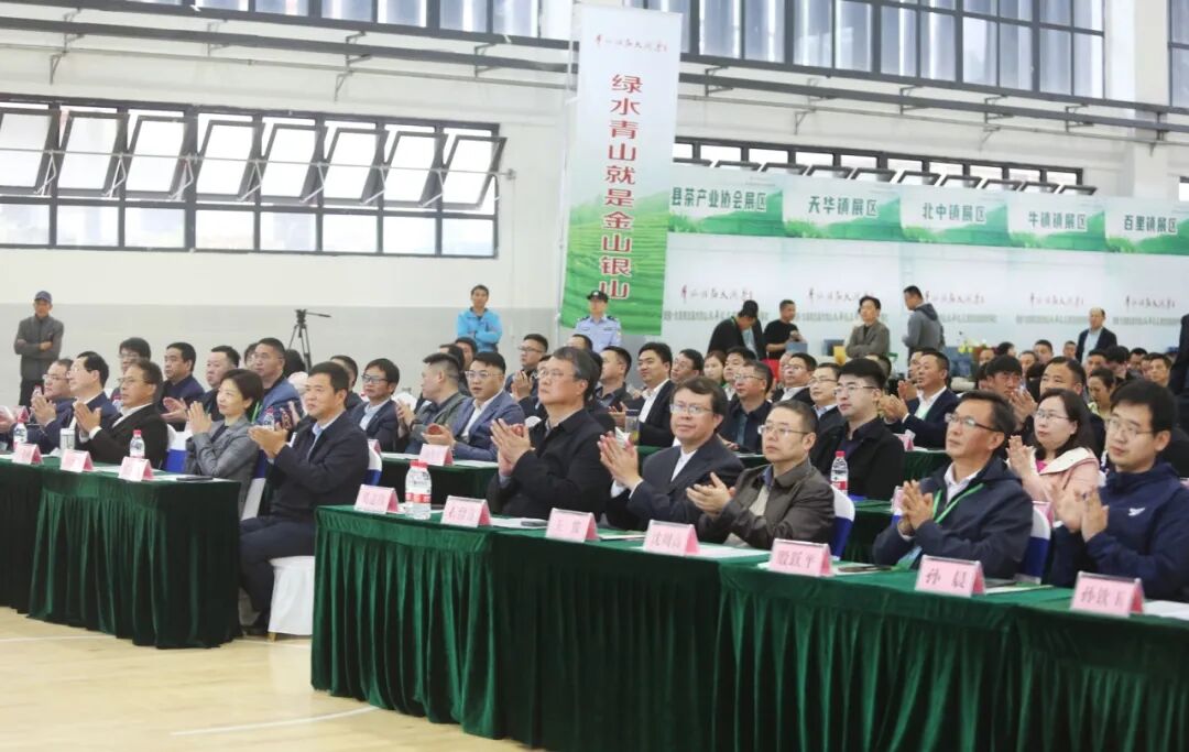 安徽·太湖第三届大别山天华谷尖茶文化旅游周开幕