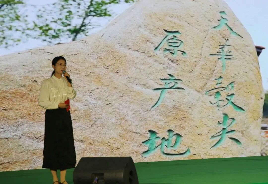 安徽·太湖第三届大别山天华谷尖茶文化旅游周开幕