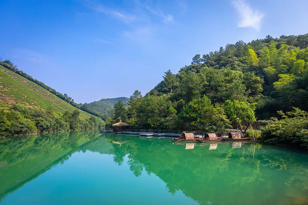 終於通高鐵了！杭州0.5h直達浙北秘境小城，60000公頃竹海仙境，享野奢親子度假 旅遊 第52張