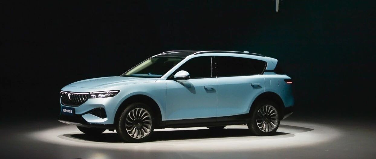 岚图FREE全球首发，传统车企如何冲高崭露头角?