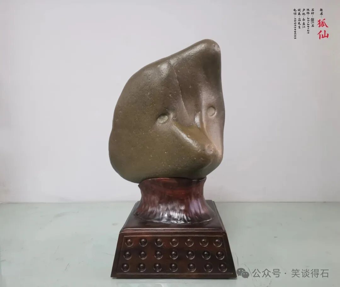 ͼƬ