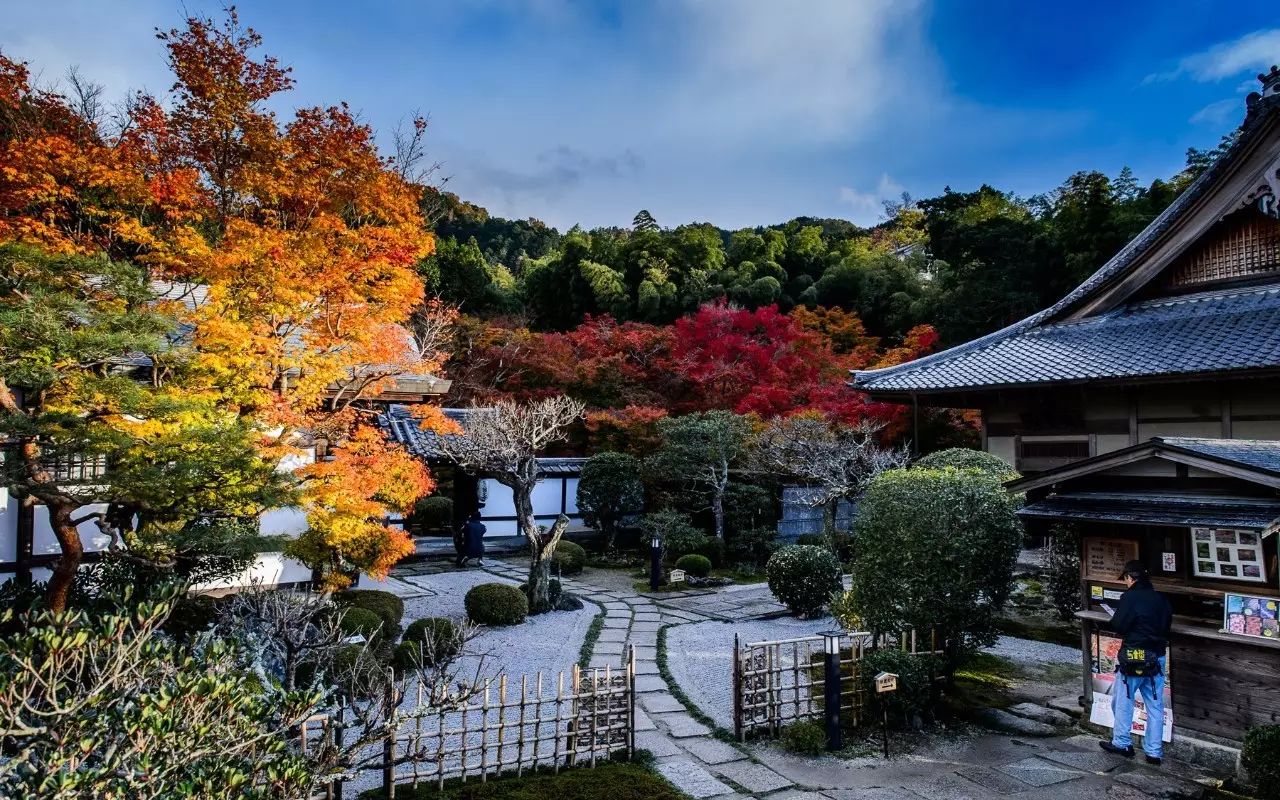 這家四季酒店刷新了京都的精緻,最優雅的春夏秋冬都在這裡