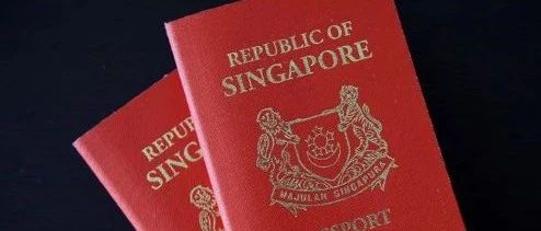 2020新加坡各类移民和非移民签证变化,附中国人出国签证变化